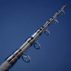 CANNE AU POSE SEACOAST LIGHT 500 350 MULTITIP TELESCOPIQUE PECHE EN MER -Pêche Soldes canne au pose seacoast light 500 350 multitip telescopique peche en mer 6