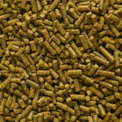GOOSTER PELLET BABY CORN CHENEVIS EPICE 4MM 0,7KG POUR PECHER LA CARPE AU COUP -Pêche Soldes gooster pellet baby corn chenevis epice 4mm 07kg pour pecher la carpe au coup 1