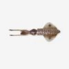 Savage Gear Leurre De Pêche En Mer 3D SWIM SQUID 12.5 CM CUTTLEFISH -Pêche Soldes leurre de peche en mer 3d swim squid 125 cm cuttlefish