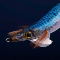 Turlutte Coulante Shallow EBIKA 3.0/120 Bleu Sardine Pêche Des Seiches/calamars 9 Turlutte Coulante Shallow EBIKA 3.0/120 Bleu Sardine Pêche Des Seiches/calamars -Pêche Soldes turlutte coulante shallow ebika 30120 bleu sardine peche des seichescalamars 2